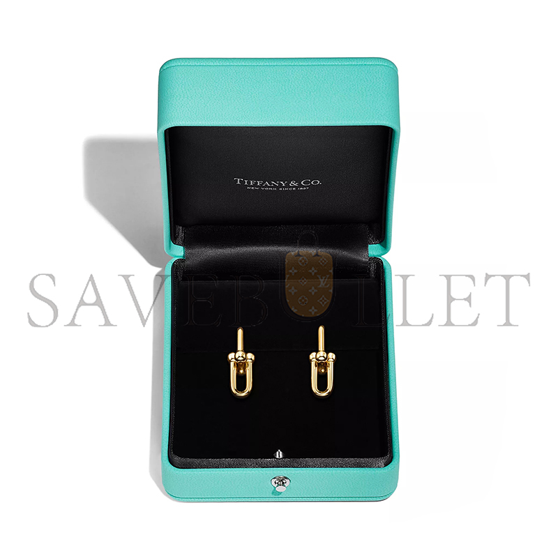 TIFFANY HARDWEAR MEDIUM LINK EARRINGS 73584558